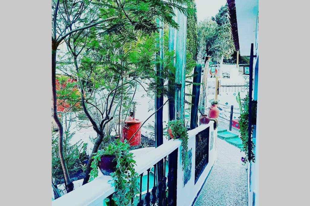 Gran Canaria La Finca De Carmelita Y Bartolito Λας Πάλμας ντε Γκραν Κανάρια Εξωτερικό φωτογραφία